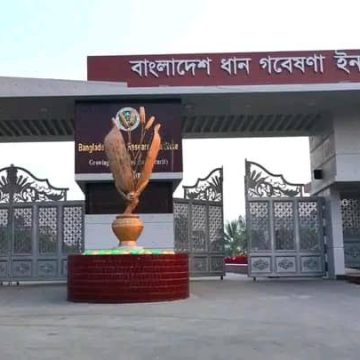 ব্রি’র মহাপরিচালক শূন্য পদে আওয়ামী ফ্যাসিবাদীদের দৌড়াত্ব