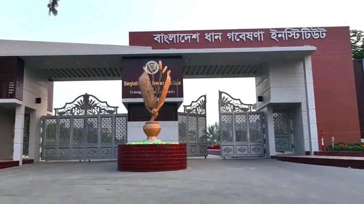 ব্রি’র মহাপরিচালক শূন্য পদে আওয়ামী ফ্যাসিবাদীদের দৌড়াত্ব