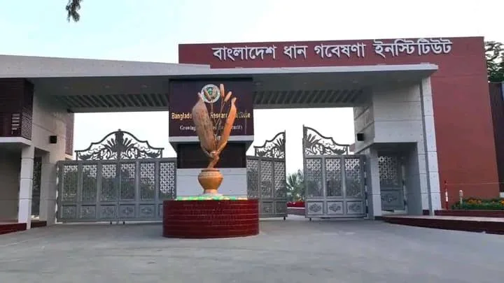 IMG-20260410-WA0004 ব্রি’র মহাপরিচালক শূন্য পদে আওয়ামী ফ্যাসিবাদীদের দৌড়াত্ব