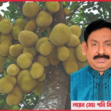 কাঁঠালের পুষ্টিমান প্রক্রিজাতকরণ ও অর্থনৈতিক গুরুত্ব