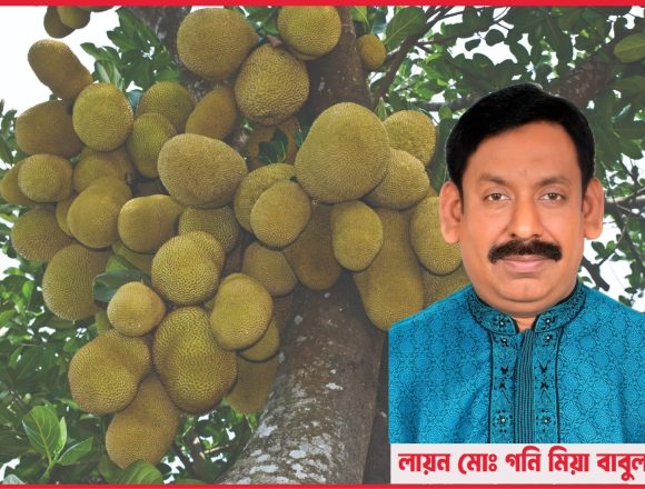 কাঁঠালের পুষ্টিমান প্রক্রিজাতকরণ ও অর্থনৈতিক গুরুত্ব