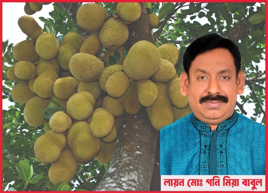 IMG-20260410-WA0029 কাঁঠালের পুষ্টিমান প্রক্রিজাতকরণ ও অর্থনৈতিক গুরুত্ব