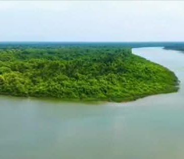 সুন্দরবনে ছোট জাঙ্গীর বাহিনীর অত্যাচারে অতিষ্ট জেলে বাওয়ালীরা