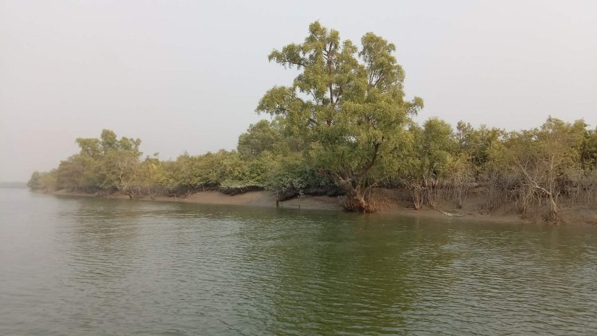 সুন্দরবনে বেপরোয়া  বনদস্যু বাহিনী জেলেদের উপর চালাচ্ছে নির্মম নির্যাতন