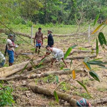 শ্রীপুরে জমি নিয়ে বিরোধে মা-ছেলেকে পিটিয়ে জখম, গাছ কেটে নেওয়ার অভিযোগ
