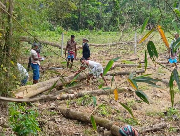 শ্রীপুরে জমি নিয়ে বিরোধে মা-ছেলেকে পিটিয়ে জখম, গাছ কেটে নেওয়ার অভিযোগ