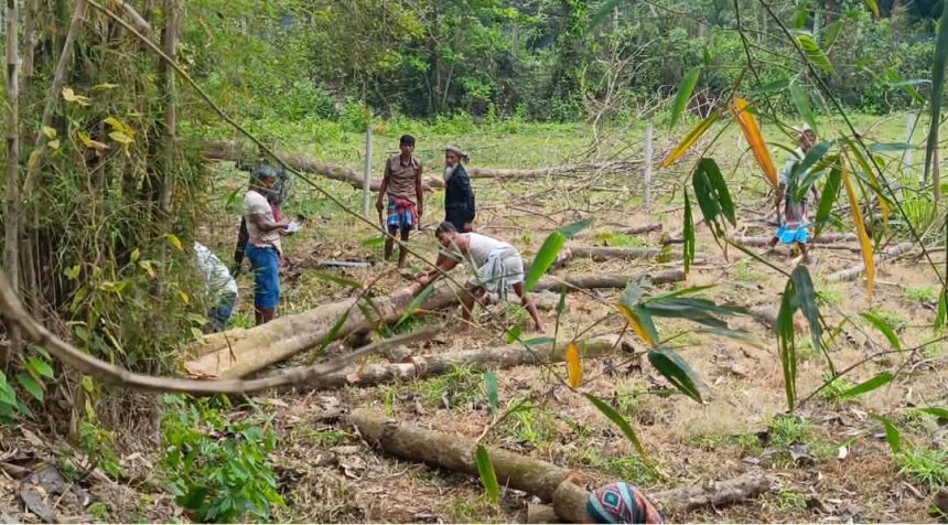 শ্রীপুরে জমি নিয়ে বিরোধে মা-ছেলেকে পিটিয়ে জখম, গাছ কেটে নেওয়ার অভিযোগ