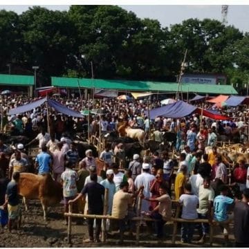 গঙ্গাচড়া বেতগাড়ী গরুর হাটে সরকারি নীতিমালা ভেঙে প্রকাশ্যে অতিরিক্ত অর্থ আদায়