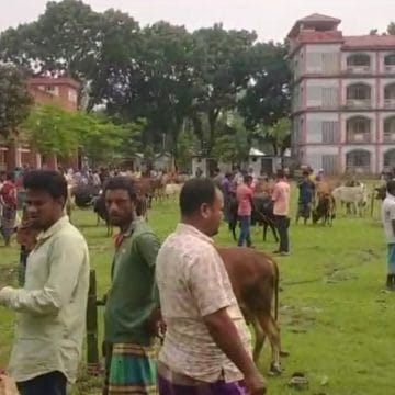 কুড়িগ্রামের রাজারহাট নাজিম খাঁ সর্বশেষ হাটে জমে উঠেছে কুরবানীর পশুর হাট-