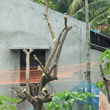 মোংলায় গাছের ঢাল কাটাকে কেন্দ্র করে প্রতিপক্ষের হামলায় আহত ৭