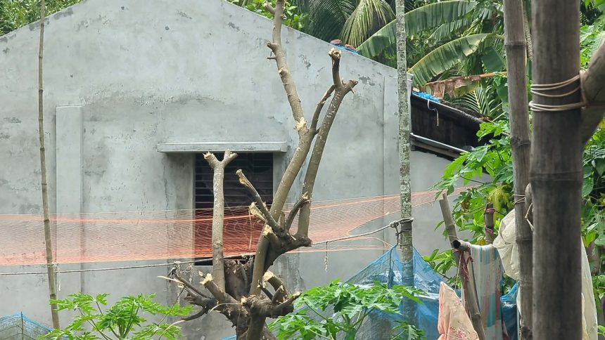 মোংলায় গাছের ঢাল কাটাকে কেন্দ্র করে প্রতিপক্ষের হামলায় আহত ৭