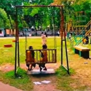 শিশু ও দর্শনার্থীদের জন্য উন্মুক্ত রাজারহাট শিশু পার্ক: ইউএনও তানজিলা তাসনিম