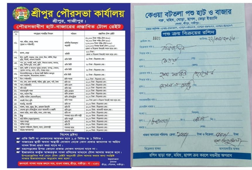 ‎শ্রীপুরের কেওয়া বটতলা হাটে টোল চার্ট অমান্য করে ডিজিটাল জালিয়াতি‎!৮৫ হাজার টাকার গরুর খাজনা ১ হাজার