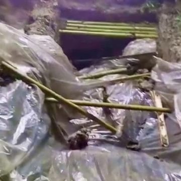 রাজারহাটে গভীর রাতে কবর খুঁড়ে লাশ চুরির চেষ্টা-