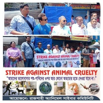 received_1717602389273574 রাজশাহীতে পশু নিষ্ঠুরতার বিরুদ্ধে ধর্মঘটের গুরুত্ব তুলে ধরে মানববন্ধন