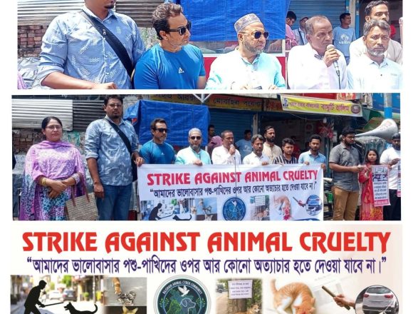 রাজশাহীতে পশু নিষ্ঠুরতার বিরুদ্ধে ধর্মঘটের গুরুত্ব তুলে ধরে মানববন্ধন