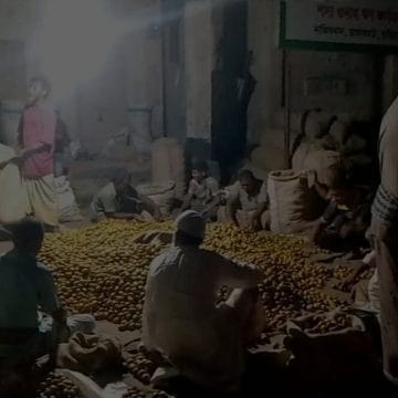 রাজারহাটের নাজিম খান বাজারে সুপারি কেনাবেচায় ধুম: ব্যস্ত সময় পার করছেন ব্যবসায়ীরা