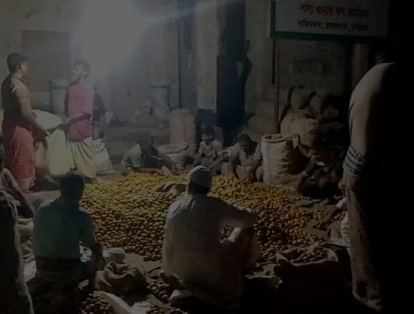 রাজারহাটের নাজিম খান বাজারে সুপারি কেনাবেচায় ধুম: ব্যস্ত সময় পার করছেন ব্যবসায়ীরা