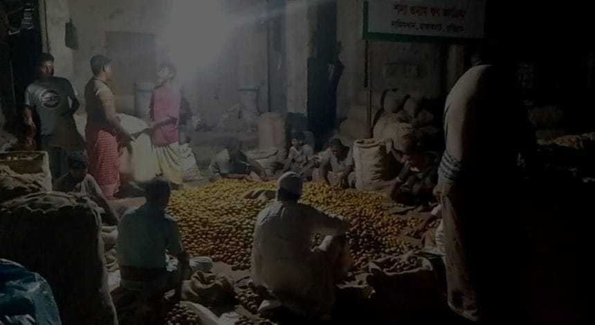 রাজারহাটের নাজিম খান বাজারে সুপারি কেনাবেচায় ধুম: ব্যস্ত সময় পার করছেন ব্যবসায়ীরা