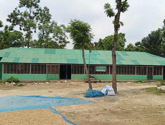 0-0x0-0-0# অবহেলায় ভেড়ামারার চর গোলাপনগর সরকারি প্রাথমিক বিদ্যালয়: শিক্ষক ও শ্রেণিকক্ষের তীব্র সংকট