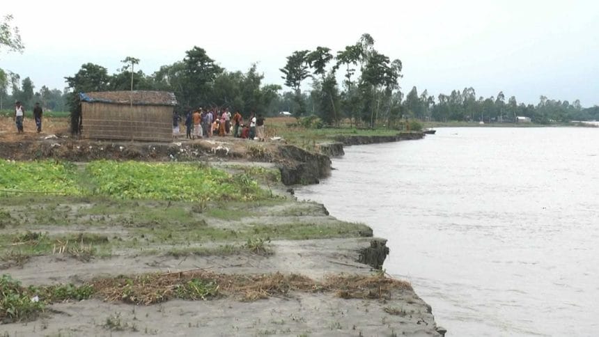 তিস্তার ৩০ পয়েন্টে তীব্র ভাঙন, বিলীন হচ্ছে ভিটেমাটি ফসলি জমি