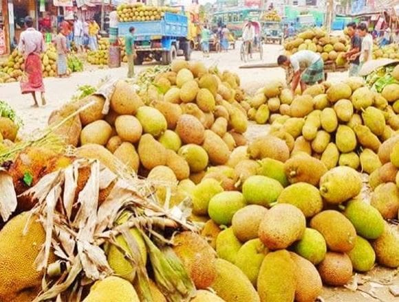 গাছে গাছে কাঁঠালের সমারোহ, গ্রীষ্মের রূপে মুগ্ধ শ্রীপুর