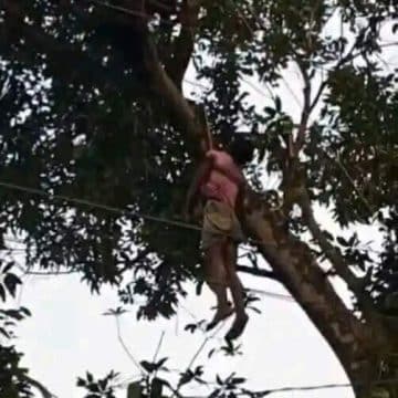 শ্বশুরবাড়িতে আম পাড়তে গিয়ে বিদ্যুৎস্পৃষ্টে জামাইয়ের মৃত্যু