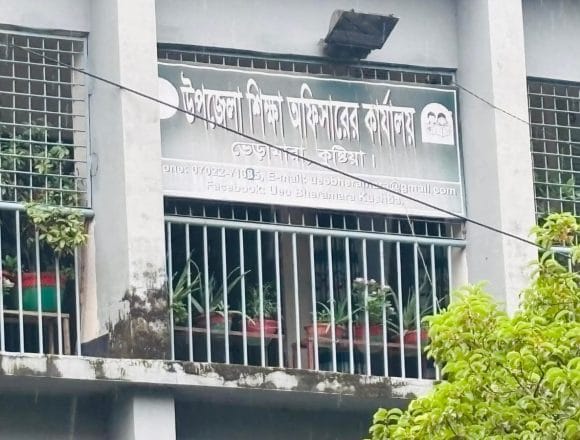 ‎ভেড়ামারায় প্রাথমিক বৃত্তি পরীক্ষায় উত্তীর্ণ ১৩১, অনুপস্থিতির হার ১৭.৭৭%