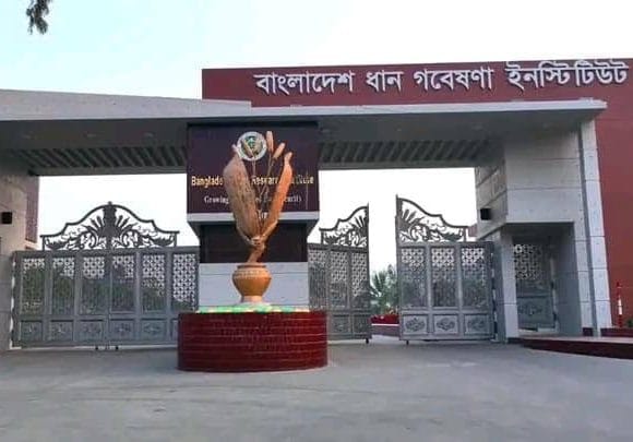 IMG-20260714-WA0011 ব্রিতে ধানের তাপ সহনশীলতা ও অক্সিজেনবিহীন অঙ্কুরোদাম বিষয়ক কর্মশালা অনুষ্ঠিত