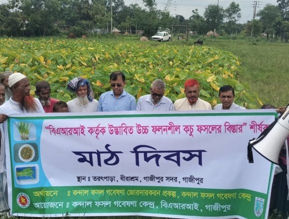 IMG-20260719-WA0010 বারিতে পানিকচুর উন্নত জাতের বিস্তার বিষয়ক মাঠ দিবস অনুষ্ঠিত