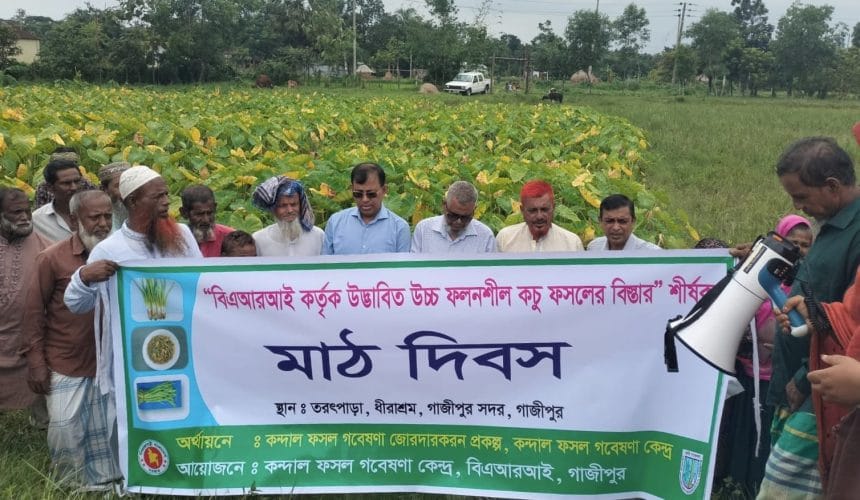 IMG-20260719-WA0010 বারিতে পানিকচুর উন্নত জাতের বিস্তার বিষয়ক মাঠ দিবস অনুষ্ঠিত