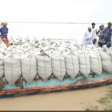 পদ্মার ভাঙন থেকে বসতভিটা রক্ষায় ভেড়ামারায় জিও ব্যাগ ফেলা শুরু