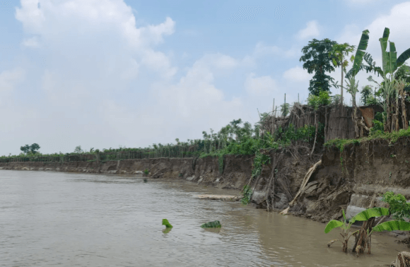 23294 ভেড়ামারায় পদ্মার গ্রাসে বিলীন জনপদ: পাউবোর উদাসীনতায় দিশেহারা হাজারো কৃষক