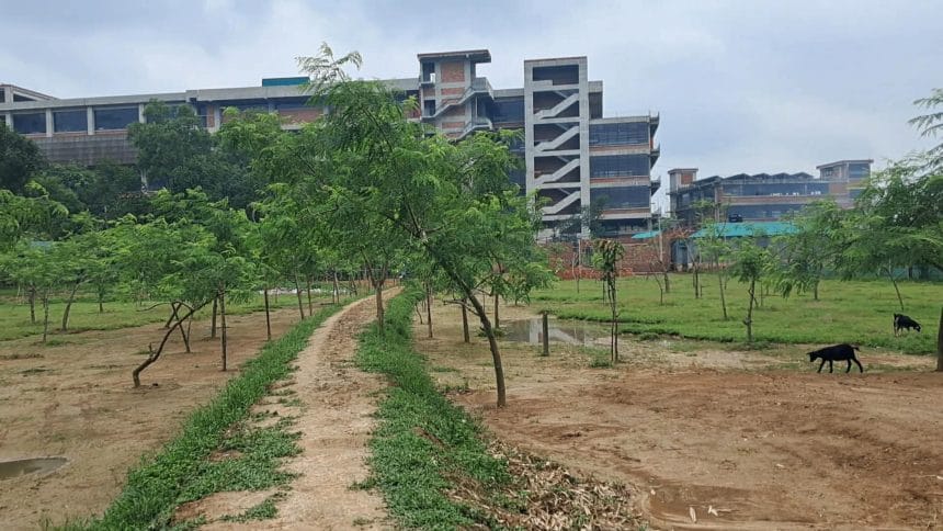 শ্রীপুরে পৈত্রিক জমি দখলের পাঁয়তারা, ন্যায় বিচারের দাবি ভুক্তভোগী ঘুরছেন ধারে ধারে