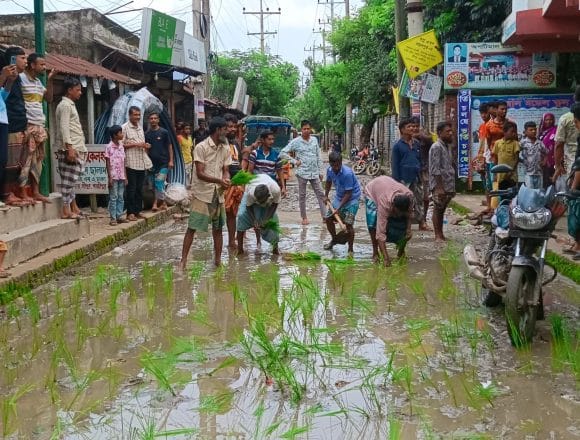 received_28819527464302157 ঠিকাদার উধাও, শ্রীপুরের সড়কে ধান রোপণ!