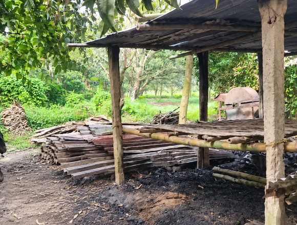 31897 ভেড়ামারায় গভীর রাতে বিশ্বাস নার্সারিতে আগুন, ক্ষতি প্রায় ৩ লাখ টাকা