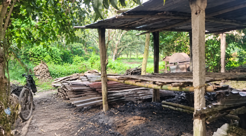 ‎ভেড়ামারায় গভীর রাতে বিশ্বাস নার্সারিতে আগুন, ক্ষতি প্রায় ৩ লাখ টাকা
