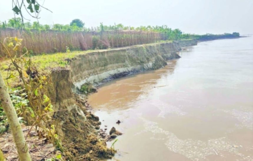 ‎ভেড়ামারায় পদ্মার ভাঙনে বিলীন ৫০০ বিঘা ফসলি জমি ভাঙন রোধে কার্যকর উদ্যোগের দাবি, পাউবোর বিরুদ্ধে উদাসীনতার অভিযোগ