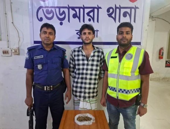 ভেড়ামারায় ১০০ গ্রাম গাঁজাসহ যুবক গ্রেপ্তার
