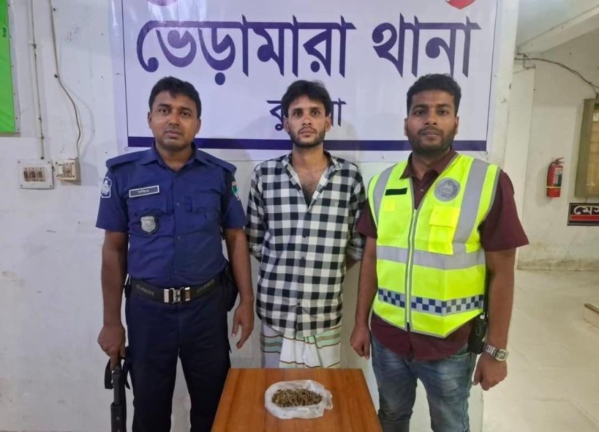 ভেড়ামারায় ১০০ গ্রাম গাঁজাসহ যুবক গ্রেপ্তার
