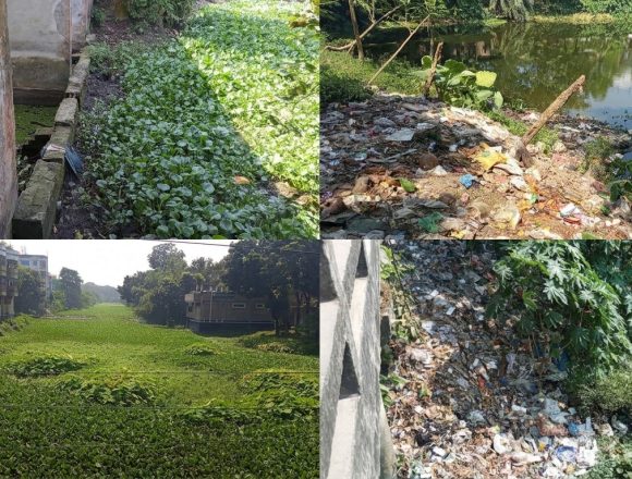 36058 দখল-দূষণে অস্তিত্ব সংকটে ভেড়ামারার ঐতিহ্যবাহী হিসনা নদী