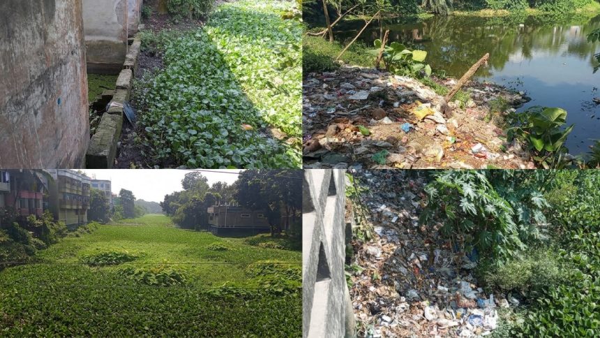 ‎দখল-দূষণে অস্তিত্ব সংকটে ভেড়ামারার ঐতিহ্যবাহী হিসনা নদী