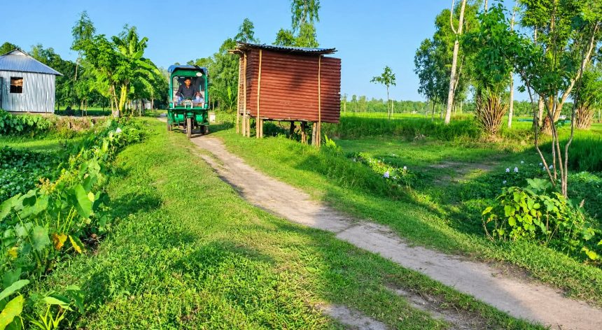 রাজারহাটের নাজিমখান ইউপির নাওথোয়া বিলের উপর রাস্তাটি বেহাল দশা, সংস্কারের দাবি এলাকাবাসীর